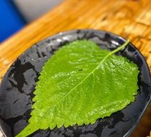Perilla Leaf