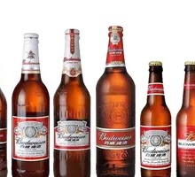 Thai Valley Beer