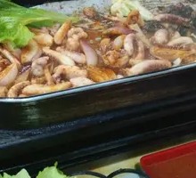 Squid