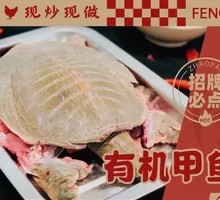 Organic Softshell Turtle