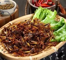 Fried Bamboo Worms