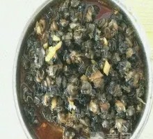 Snail Meat