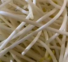 Well Water Bean Sprouts