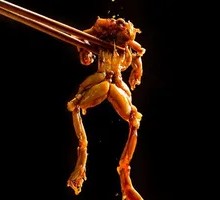 Delicious Frog with Flavor