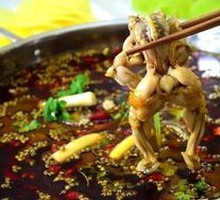 Frog in Spicy Sauce