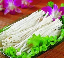 Enoki Mushroom