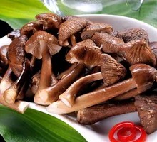 Chicken Mushroom