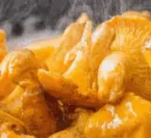 Chicken of the Woods