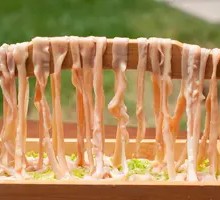 Noodles with Duck Intestines