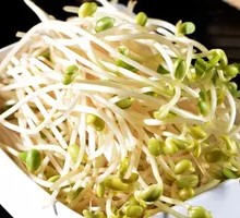 Bean sprouts
