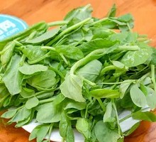 Pea Shoots