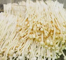 Enoki Mushroom
