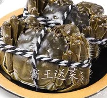 Fresh Female Mud Crab