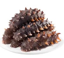 Fresh Sea Cucumber