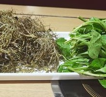 Shangri-La Goji Shoots