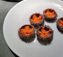 Sea Urchin