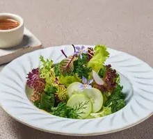Low-Fat Vegetable Salad with Vinaigrette