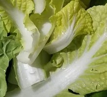 Farmhouse Baby Bok Choy