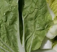 High Mountain Napa Cabbage