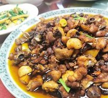 Stewed Chicken with Brown Sauce