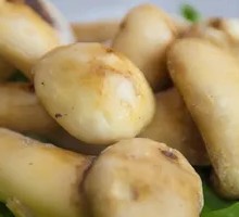 King Oyster Mushroom