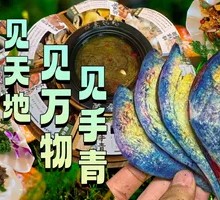 Blue-staining Mushroom