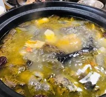 Fresh Free-range Chicken