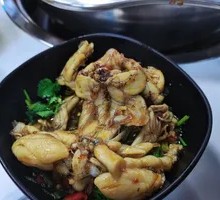 Freshly Killed American Bullfrog