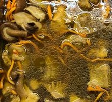 Cordyceps Chicken Soup