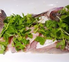 Deep-water Bighead Carp