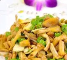 Yellow Thread Mushroom