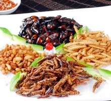 Bamboo Worms and Bee Larvae Assortment