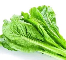 Bitter Herb with Sauce