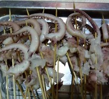 Squid Tentacles