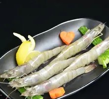 Shrimp