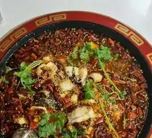 Signature Spicy Bullfrog