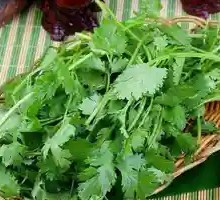 Cilantro