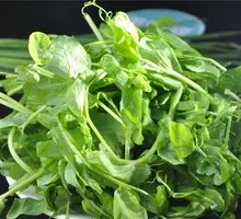 Bean Sprout Greens