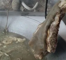 Mutton and Sheep Fat Fried Rice (Large)