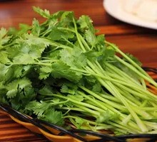 Cilantro