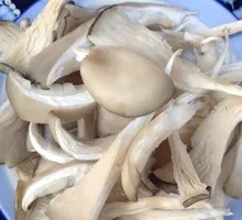 Artificial Mushroom