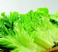 Lettuce