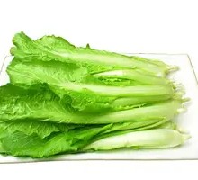 Bok choy