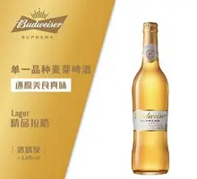 Budweiser Gold尊