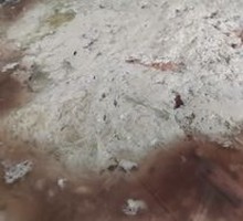 Mapo Tofu