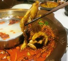 Delicious Six-Person Sichuan Bullfrog Hot Pot