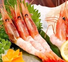Arctic Sweet Shrimp
