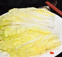 Napa cabbage