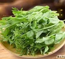 Pea Shoots