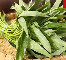 Water spinach